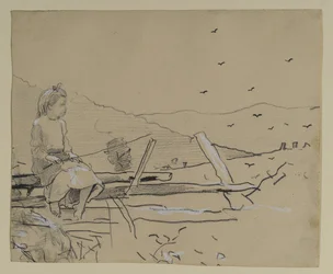 Girl seated on rail fence, 1879